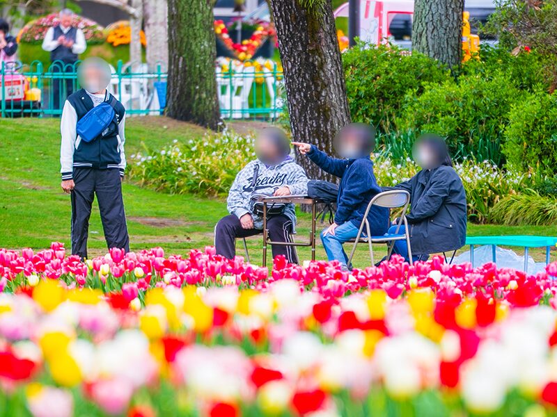 お花見