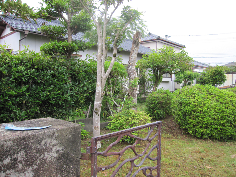 作業後の様子