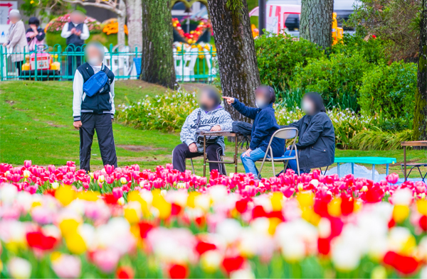お花見をするみなさん